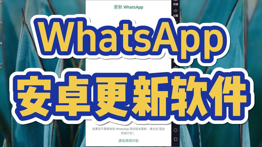 国内如何更新WhatsApp？